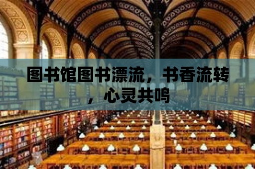 圖書館圖書漂流，書香流轉，心靈共鳴