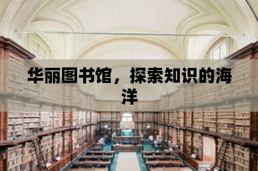 華麗圖書館，探索知識的海洋