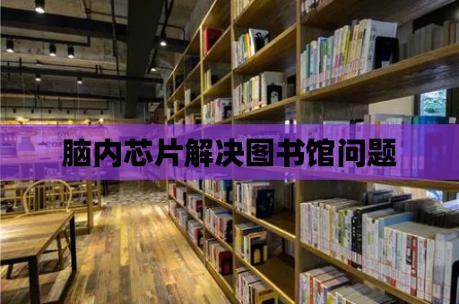 腦內芯片解決圖書館問題