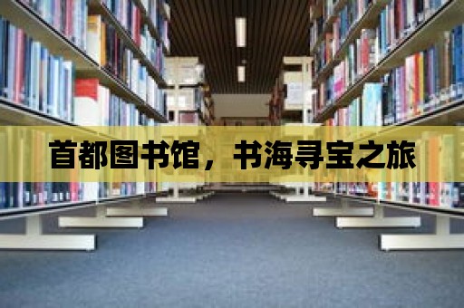 首都圖書館，書海尋寶之旅