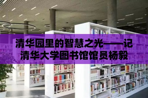 清華園里的智慧之光——記清華大學圖書館館員楊毅