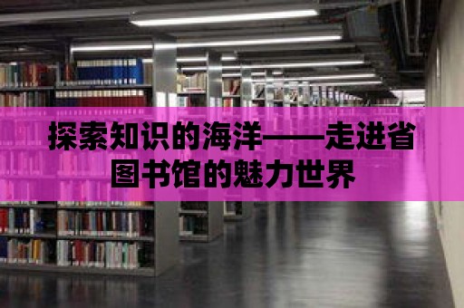 探索知識的海洋——走進省圖書館的魅力世界