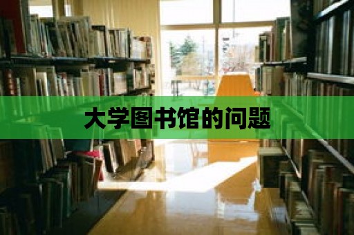 大學圖書館的問題