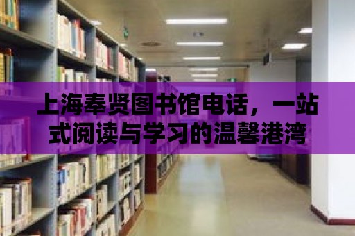 上海奉賢圖書館電話，一站式閱讀與學習的溫馨港灣