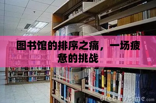 圖書館的排序之痛，一場疲憊的挑戰