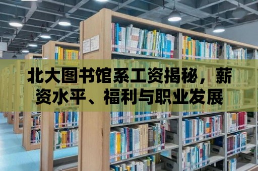 北大圖書館系工資揭秘，薪資水平、福利與職業發展