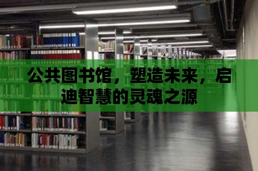 公共圖書館，塑造未來，啟迪智慧的靈魂之源