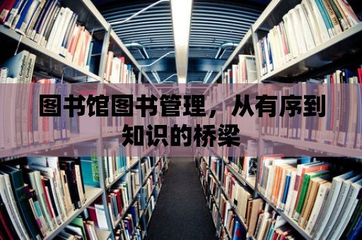 圖書館圖書管理，從有序到知識的橋梁