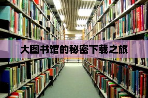 大圖書館的秘密下載之旅