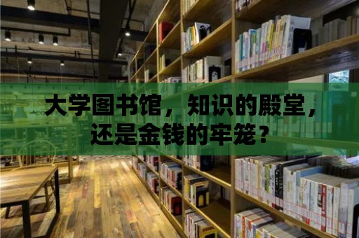 大學(xué)圖書館，知識的殿堂，還是金錢的牢籠？