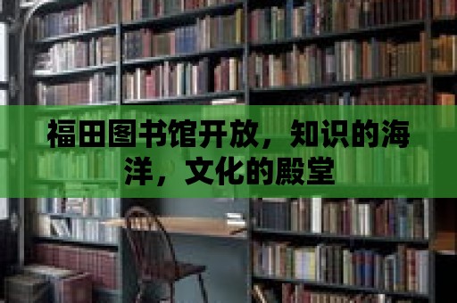 福田圖書館開放，知識(shí)的海洋，文化的殿堂