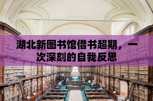 湖北新圖書館借書超期，一次深刻的自我反思