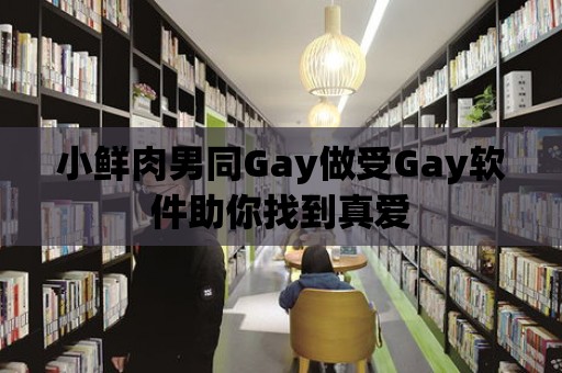 小鮮肉男同Gay做受Gay軟件助你找到真愛