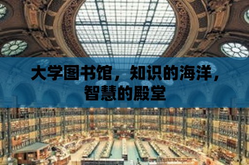 大學圖書館，知識的海洋，智慧的殿堂