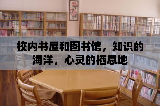 校內書屋和圖書館，知識的海洋，心靈的棲息地