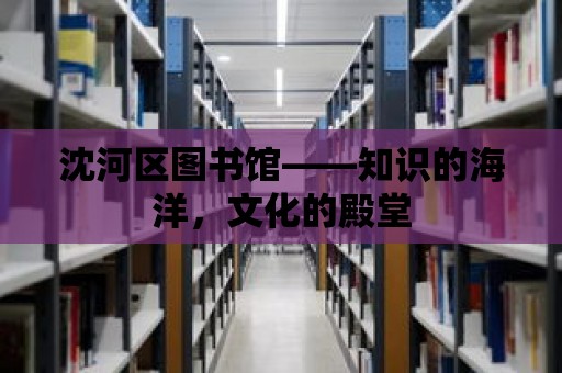 沈河區圖書館——知識的海洋，文化的殿堂