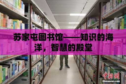 蘇家屯圖書館——知識的海洋，智慧的殿堂