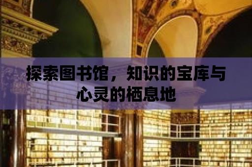 探索圖書館，知識的寶庫與心靈的棲息地