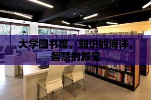 大學圖書館，知識的海洋，智慧的殿堂