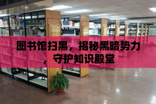 圖書館掃黑，揭秘黑暗勢力，守護知識殿堂