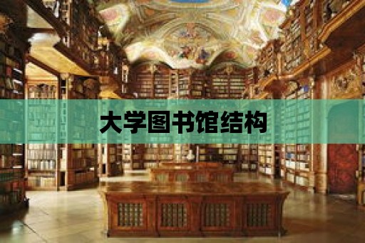 大學圖書館結構