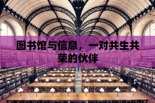 圖書館與信息，一對共生共榮的伙伴