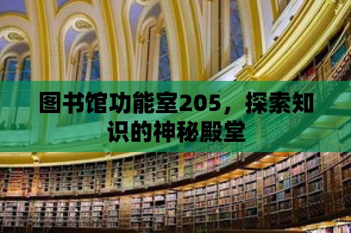 圖書館功能室205，探索知識的神秘殿堂