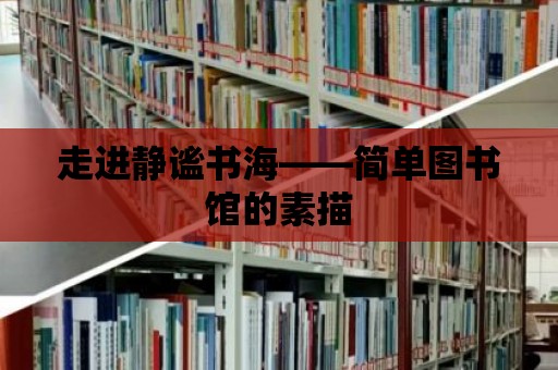 走進(jìn)靜謐書海——簡單圖書館的素描