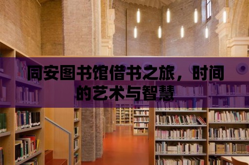 同安圖書館借書之旅，時間的藝術與智慧