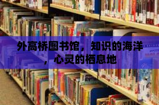 外高橋圖書館，知識的海洋，心靈的棲息地