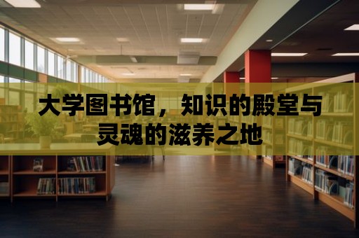 大學圖書館，知識的殿堂與靈魂的滋養之地