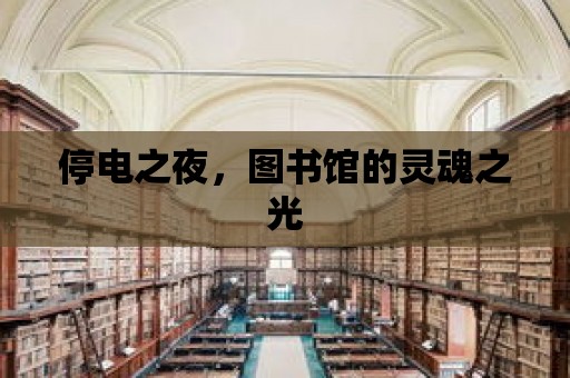 停電之夜，圖書館的靈魂之光