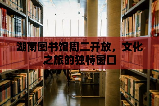 湖南圖書館周二開放，文化之旅的獨特窗口