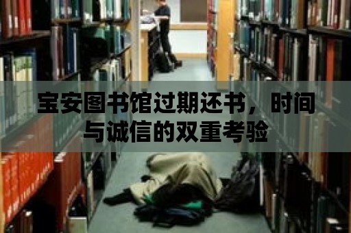 寶安圖書館過期還書，時間與誠信的雙重考驗