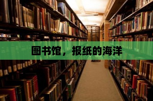 圖書館，報紙的海洋