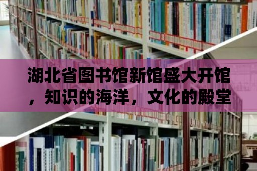 湖北省圖書館新館盛大開館，知識的海洋，文化的殿堂