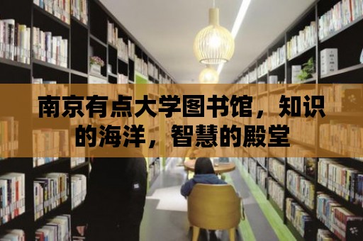 南京有點大學(xué)圖書館，知識的海洋，智慧的殿堂