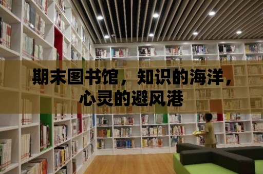 期末圖書館，知識的海洋，心靈的避風港