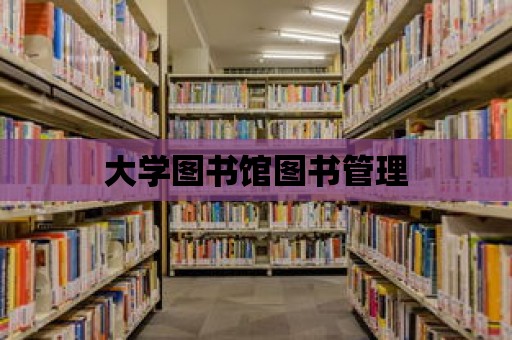 大學圖書館圖書管理