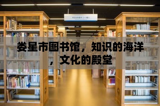 婁星市圖書館，知識(shí)的海洋，文化的殿堂