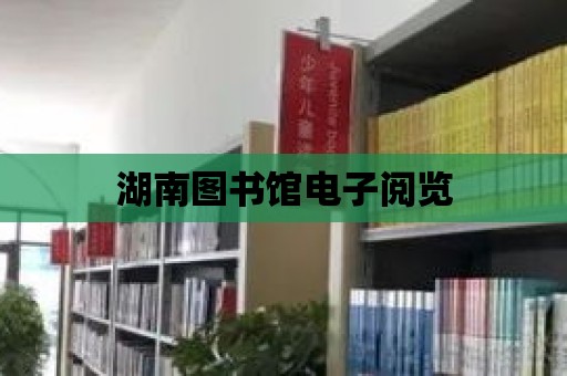 湖南圖書館電子閱覽