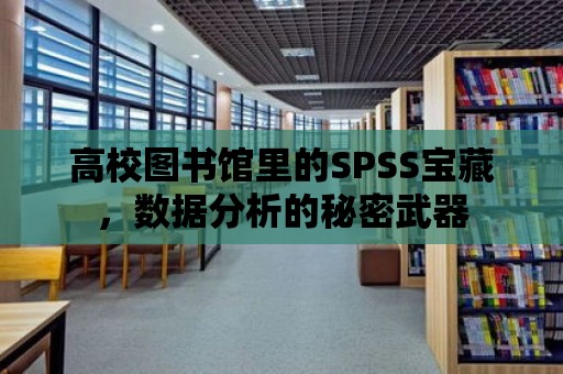 高校圖書館里的SPSS寶藏，數(shù)據(jù)分析的秘密武器