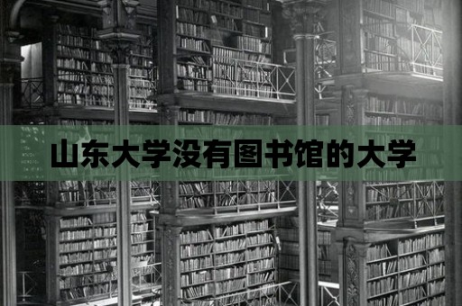 山東大學沒有圖書館的大學