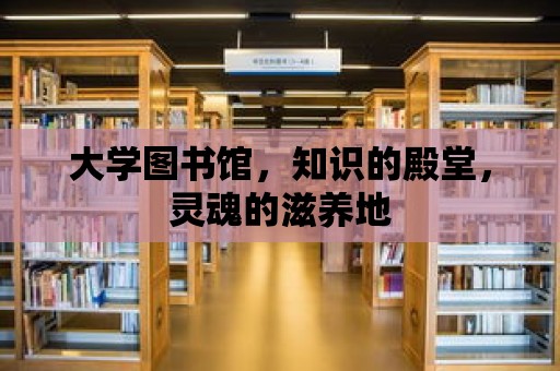 大學圖書館，知識的殿堂，靈魂的滋養地