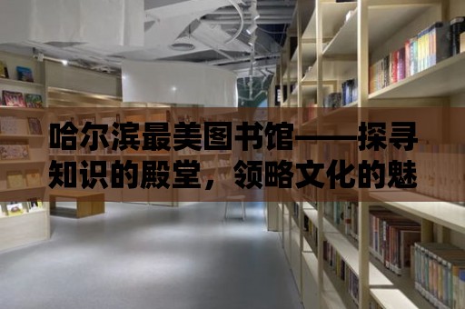 哈爾濱最美圖書館——探尋知識的殿堂，領略文化的魅力