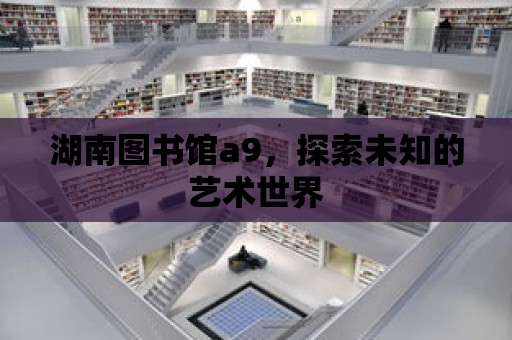 湖南圖書館a9，探索未知的藝術(shù)世界