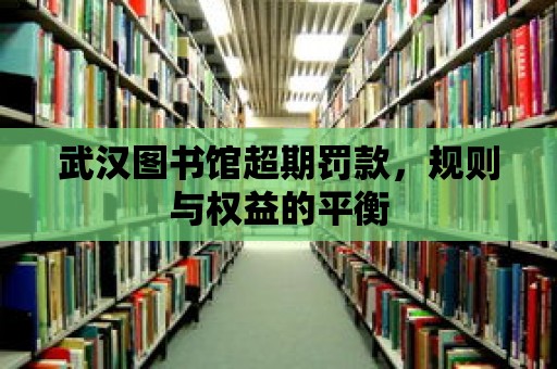 武漢圖書館超期罰款，規則與權益的平衡