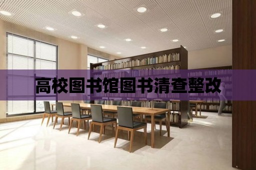 高校圖書館圖書清查整改