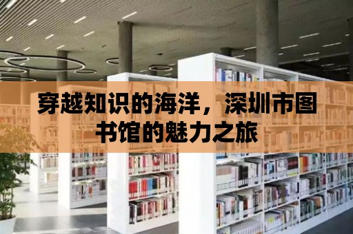 穿越知識的海洋，深圳市圖書館的魅力之旅