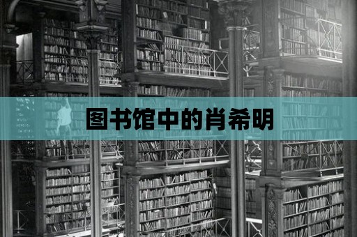 圖書館中的肖希明